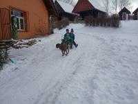 IMG_20230129_103901 (1024x768).jpg